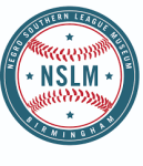 NSLM Logo
